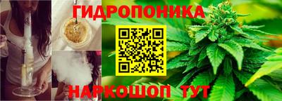 гидропоника Бугуруслан