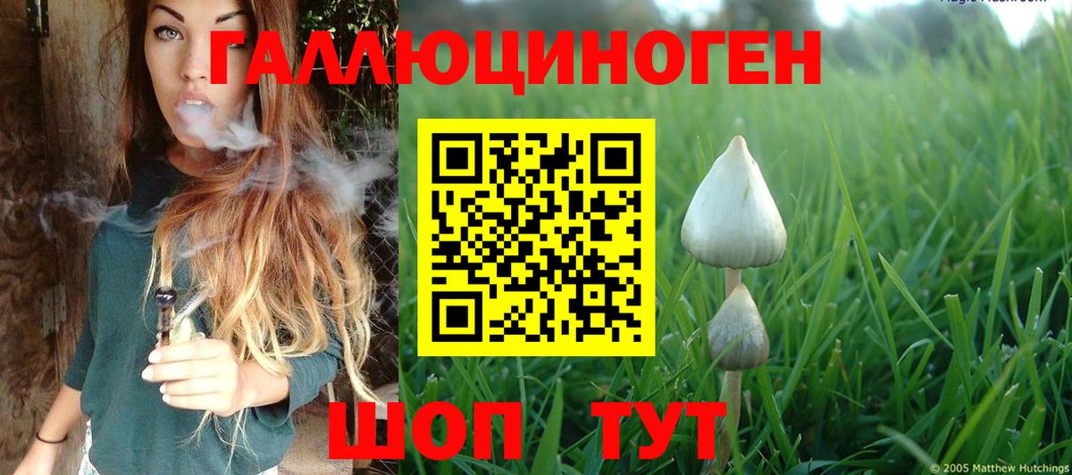 Мценск  Галлюциногенные грибы Psilocybine cubensis  Вход с VPN 